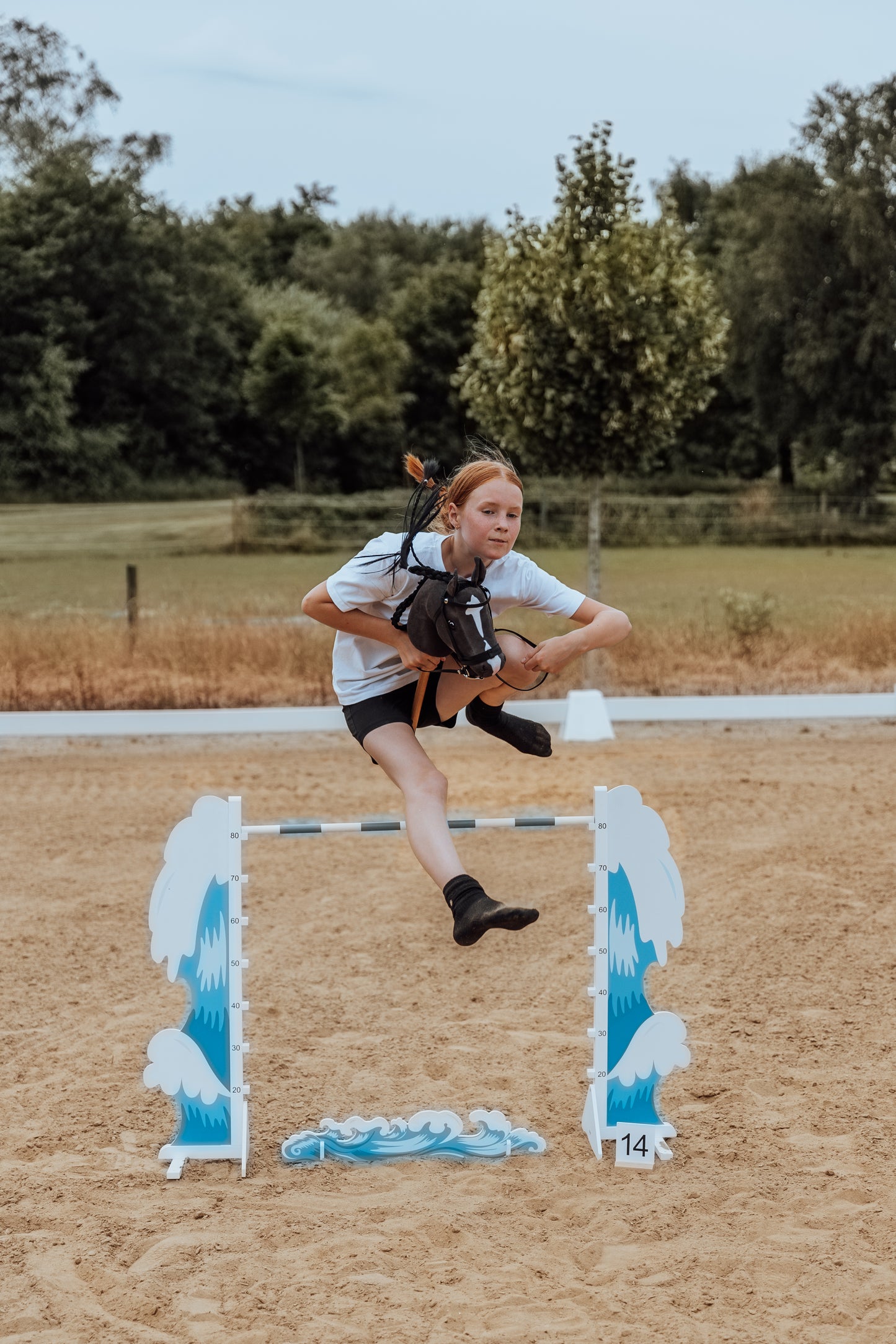 Springzaun Springparcours Springhindernis Show, Welle