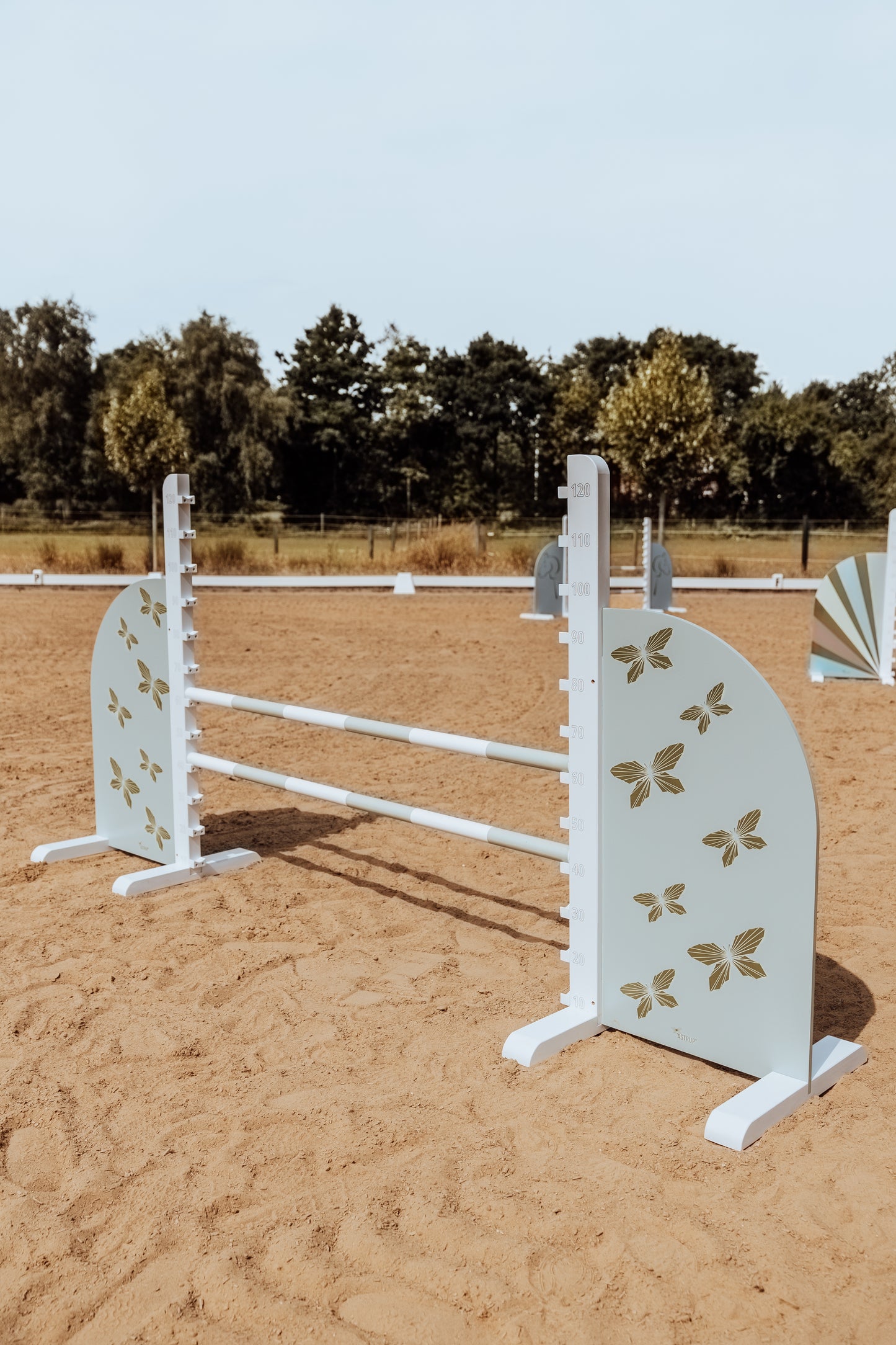 SPRUNGSEITEN JUMP WINGS, SCHMETTERLING