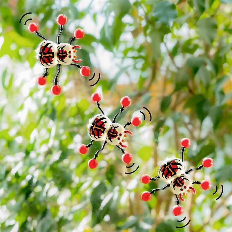 ZOO FENSTERLÄUFER SPINNE, 3-FACH SORTIERT