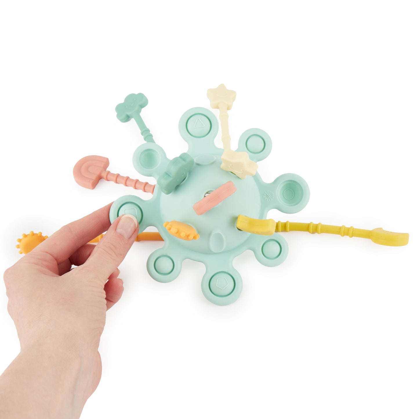 SILIKON ACTIVITY PLANET EUCALYPTUS