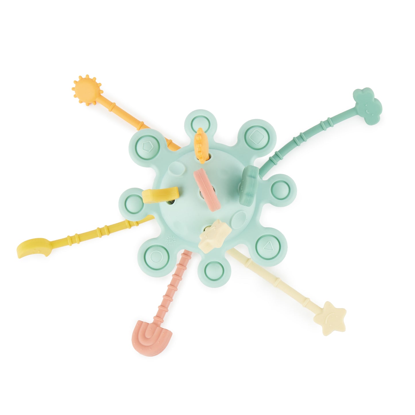 SILIKON ACTIVITY PLANET EUCALYPTUS