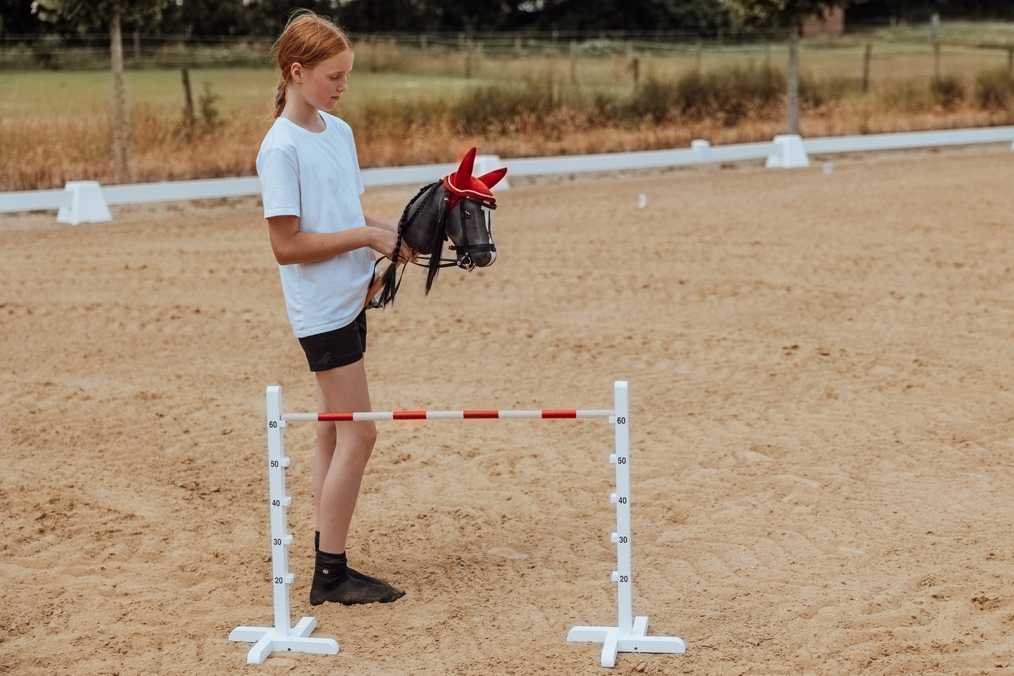 HINDERNIS FÜR STECKENPFERD HOBBY HORSE