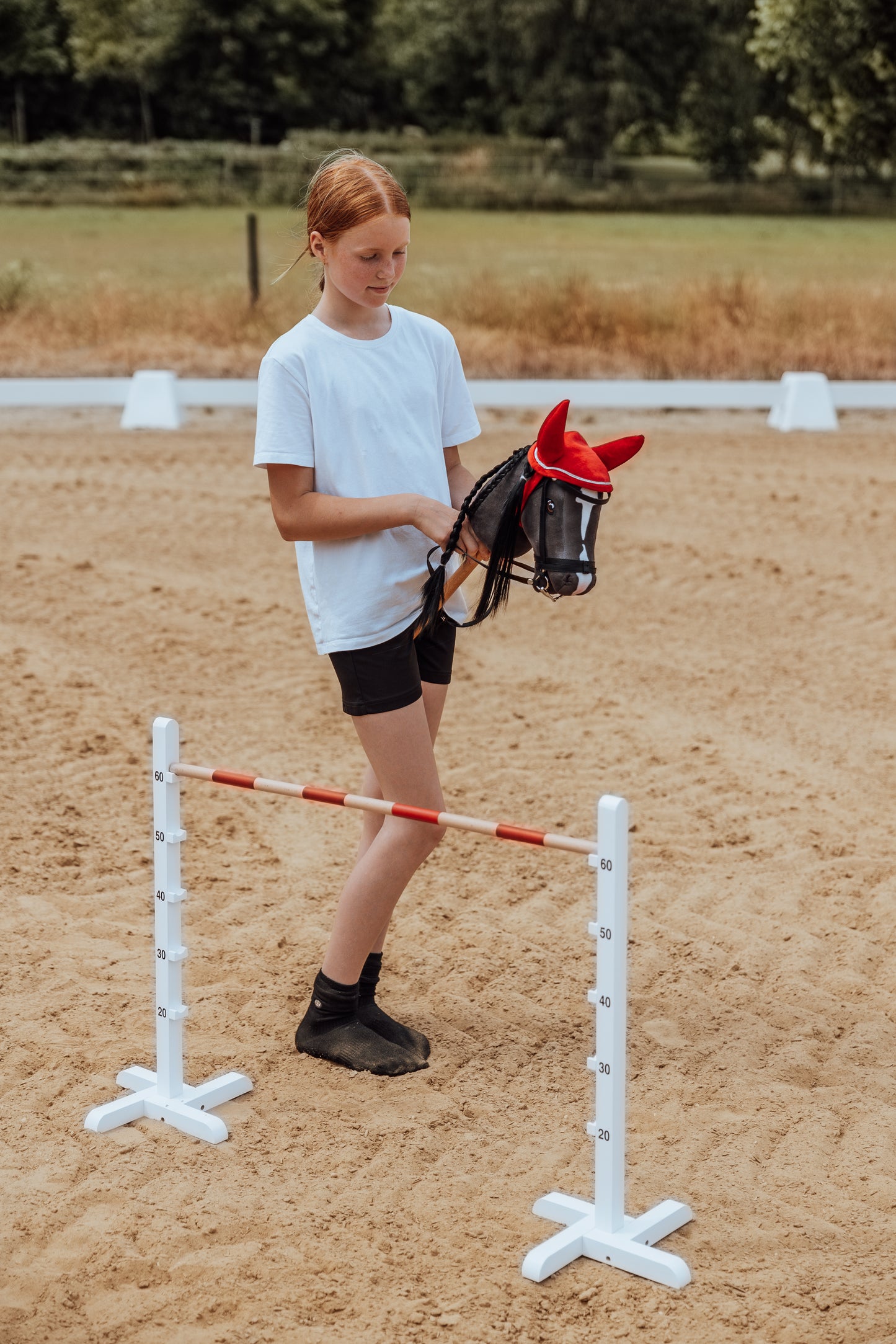 HINDERNIS FÜR STECKENPFERD HOBBY HORSE