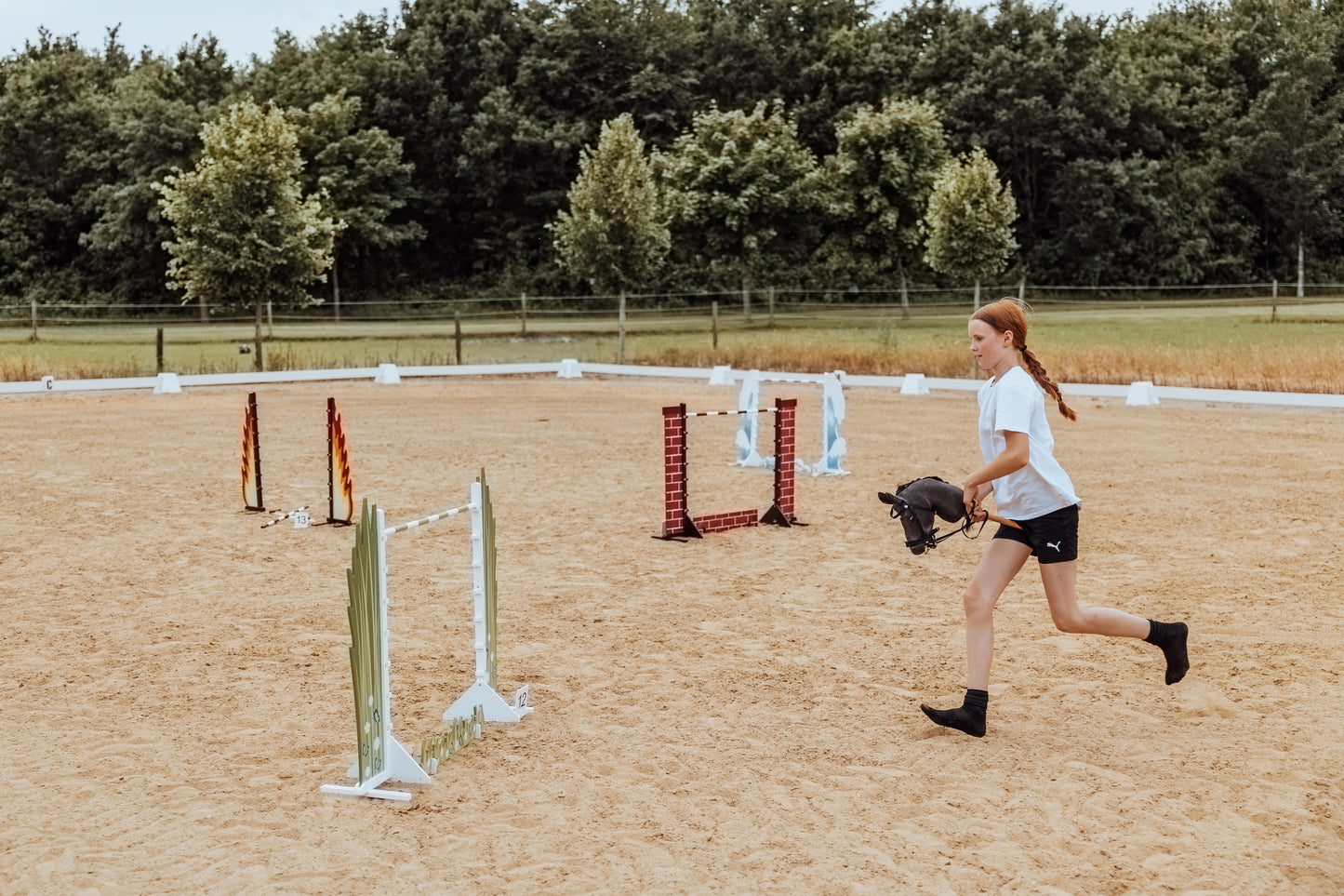 Springzaun Springparcours Springhindernis Show, Zaun aus Ziegelsteinen