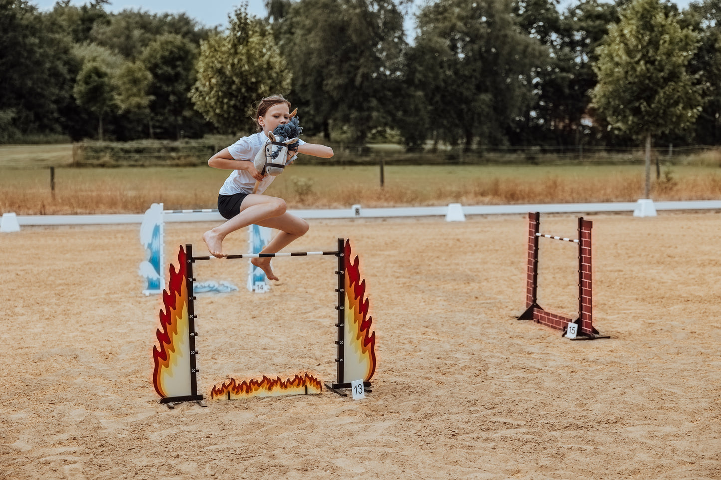 Springzaun Springparcours Springhindernis Show, Feuer