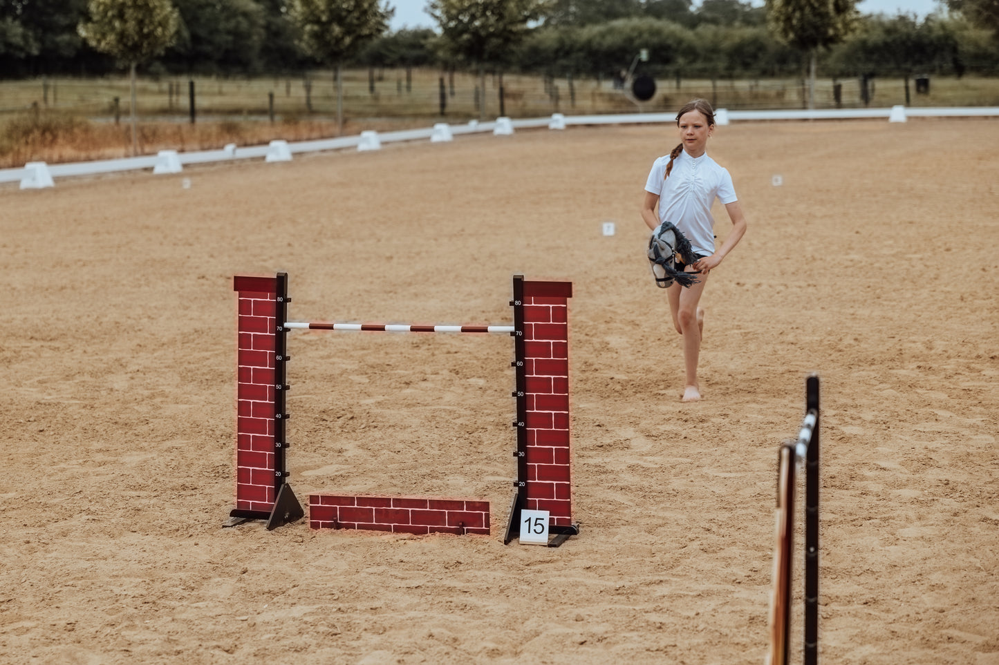 HOBBY HORSE SKY, GREY