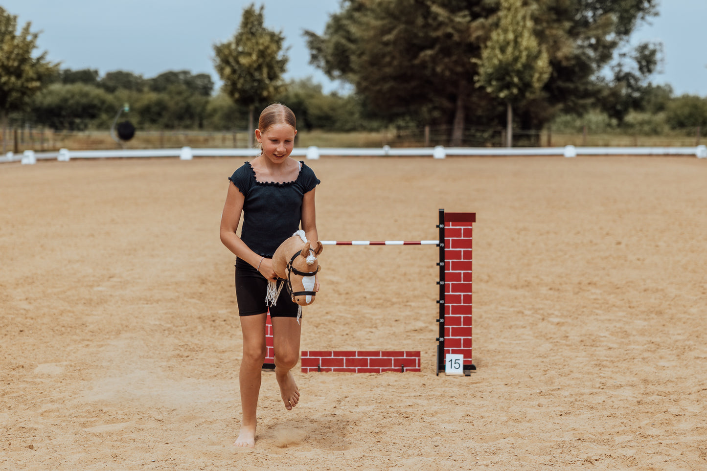 Springzaun Springparcours Springhindernis Show, Zaun aus Ziegelsteinen