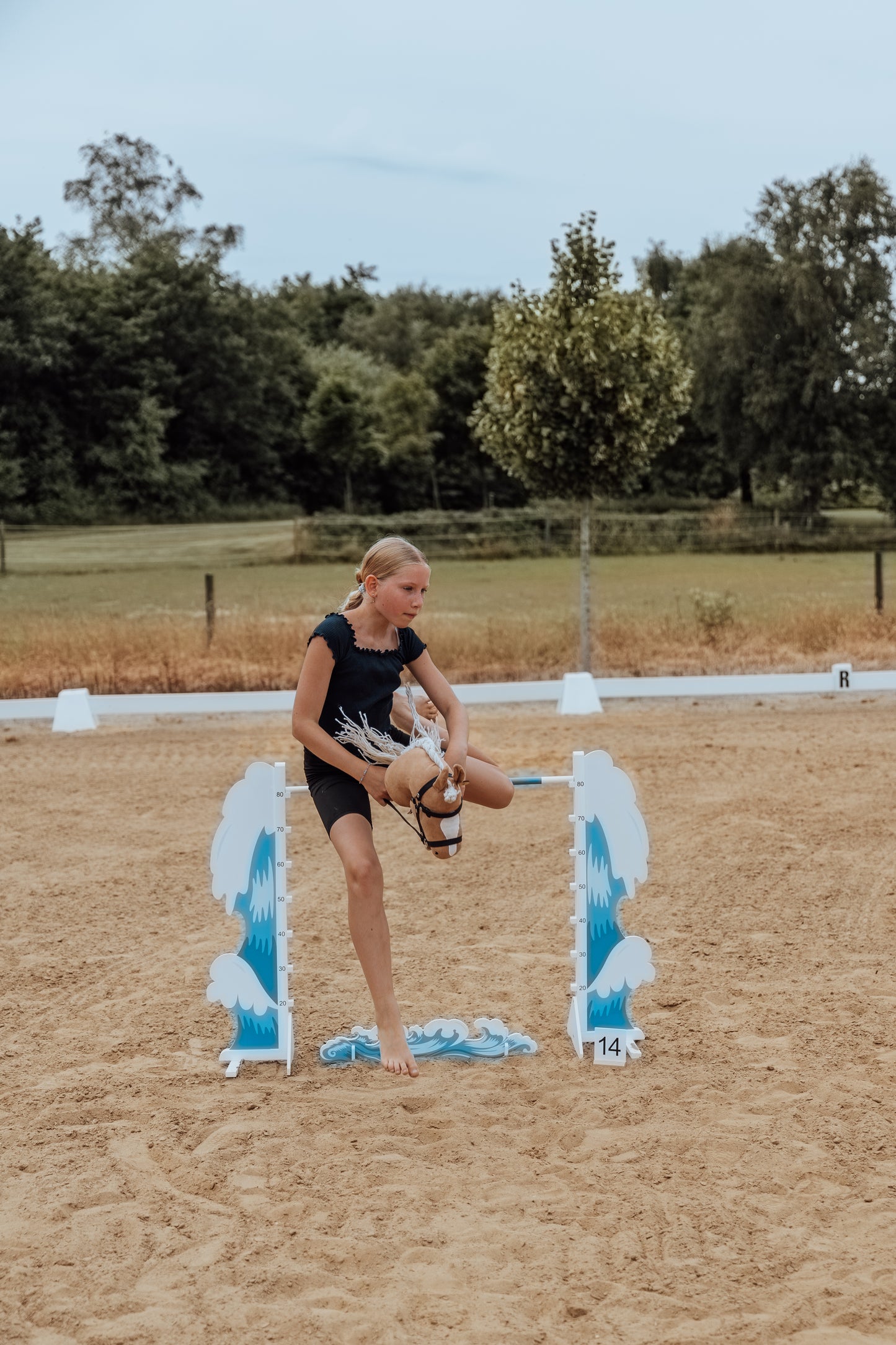 Springzaun Springparcours Springhindernis Show, Welle