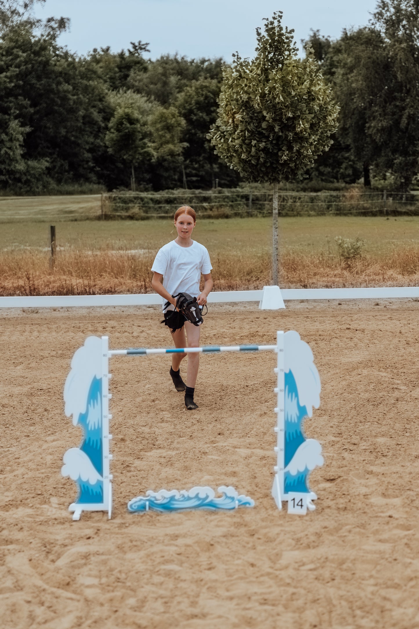 Springzaun Springparcours Springhindernis Show, Welle