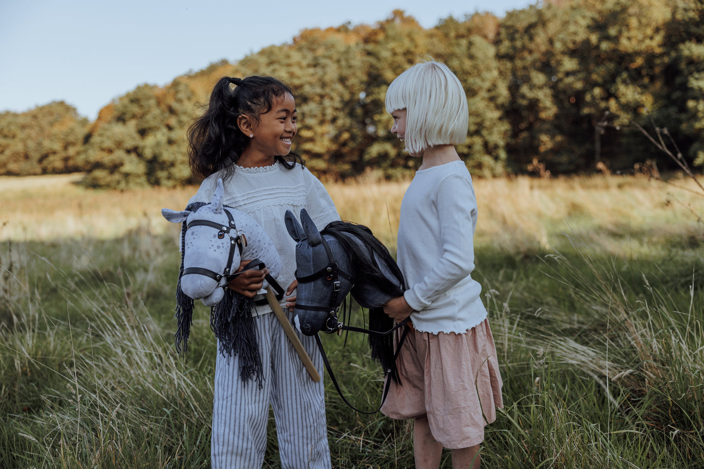 HOBBY HORSE BLAZE, GRAU/SCHWARZ