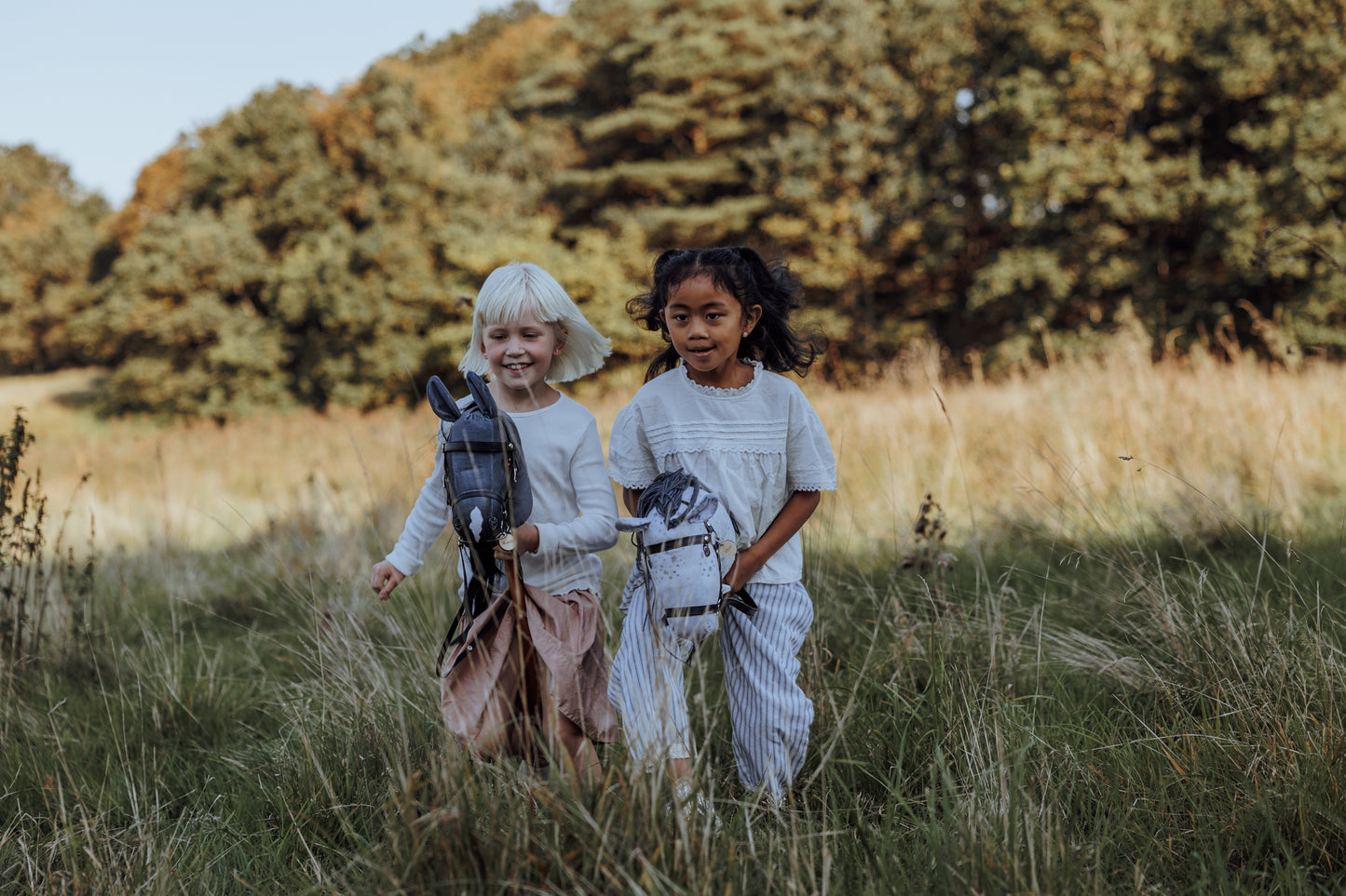 HOBBY HORSE BLAZE, GRAU/SCHWARZ