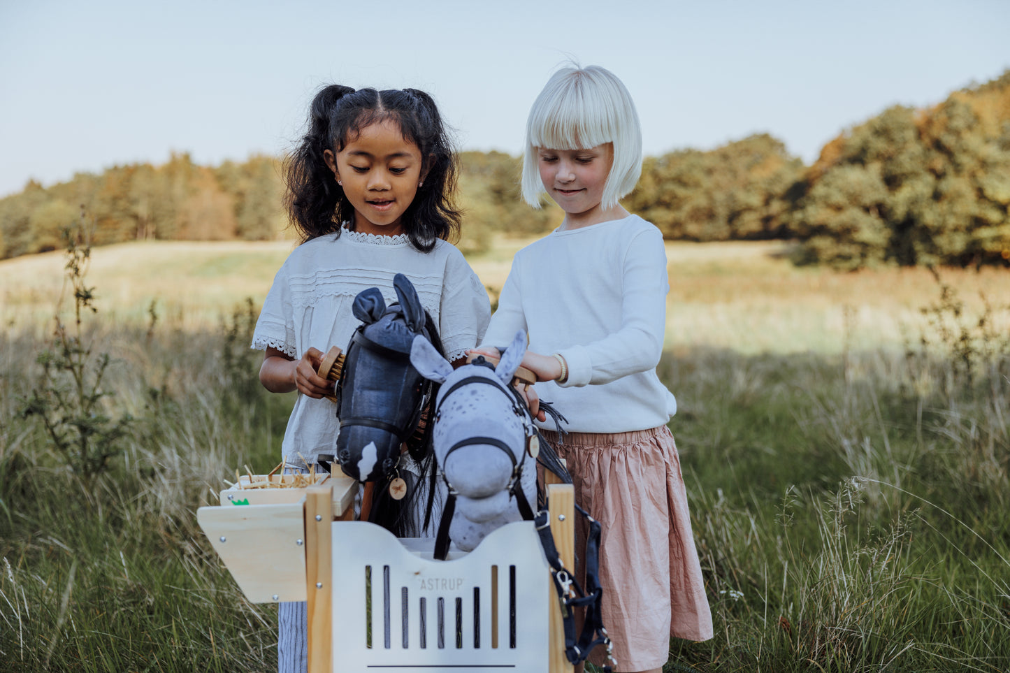 HOBBY HORSE BLAZE, GRAU/SCHWARZ