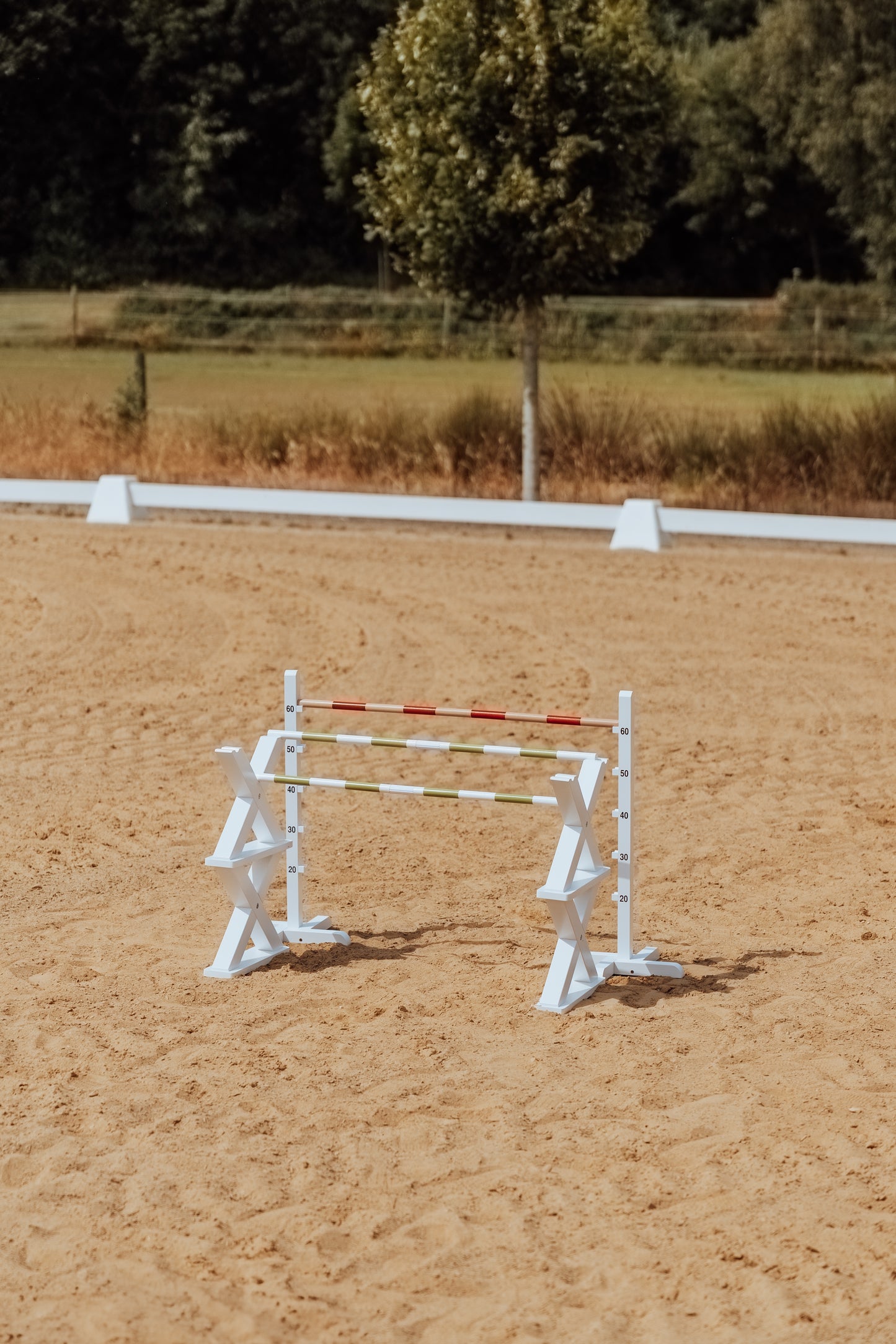 CAVALETTI HINDERNIS FÜR PFERDESPRÜNGE HOBBY HORSE