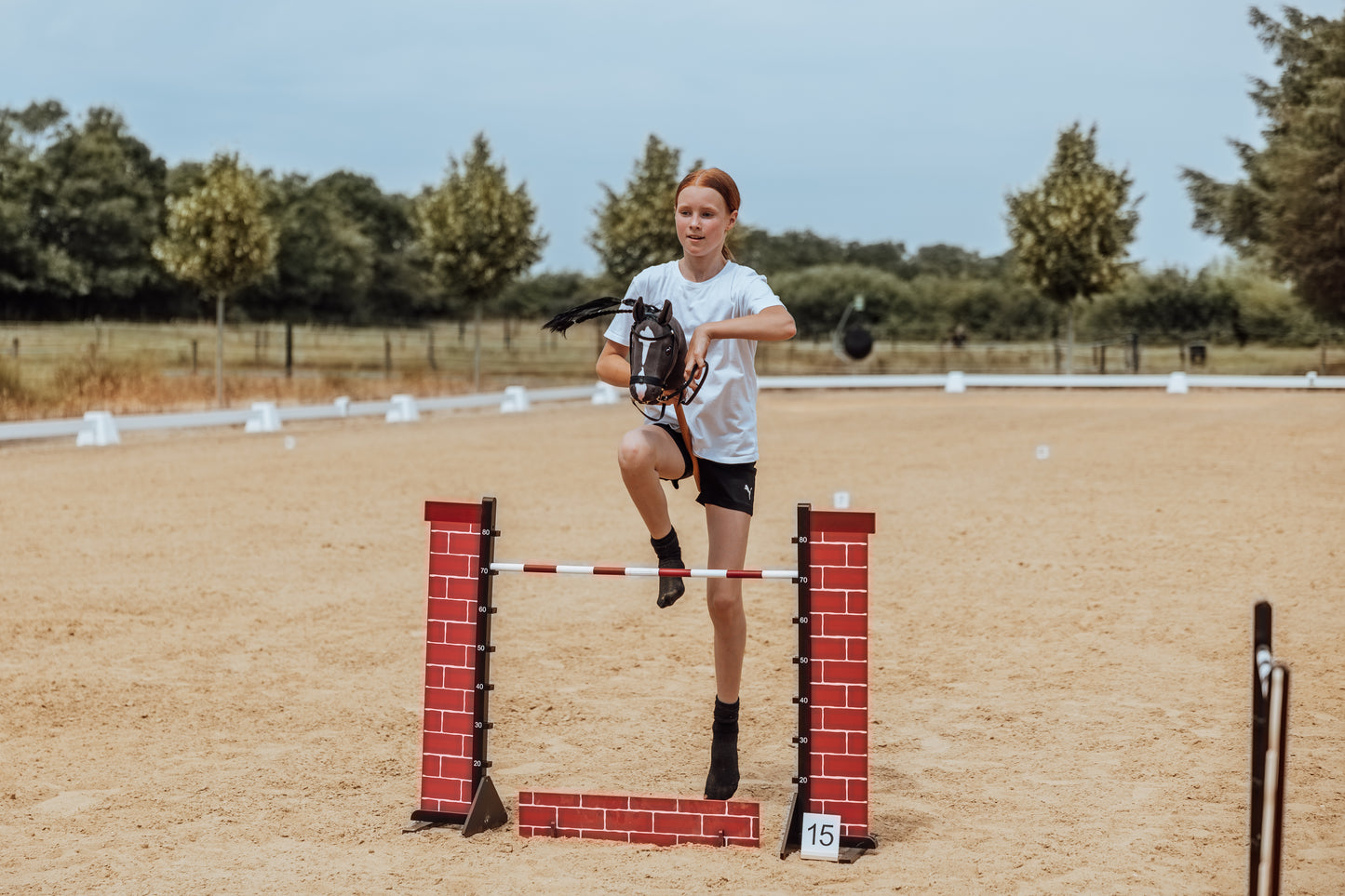 Springzaun Springparcours Springhindernis Show, Zaun aus Ziegelsteinen