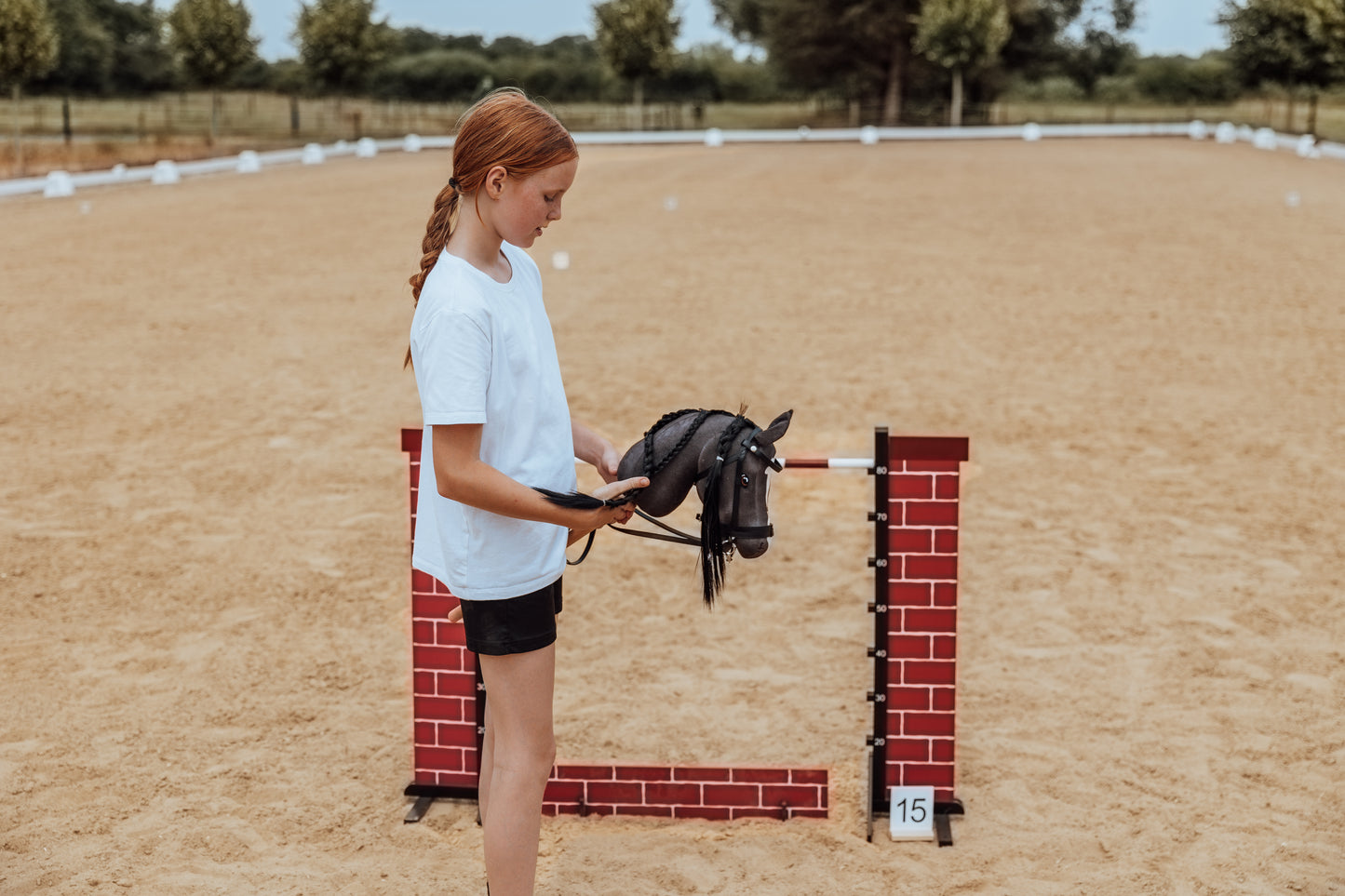 Springzaun Springparcours Springhindernis Show, Zaun aus Ziegelsteinen