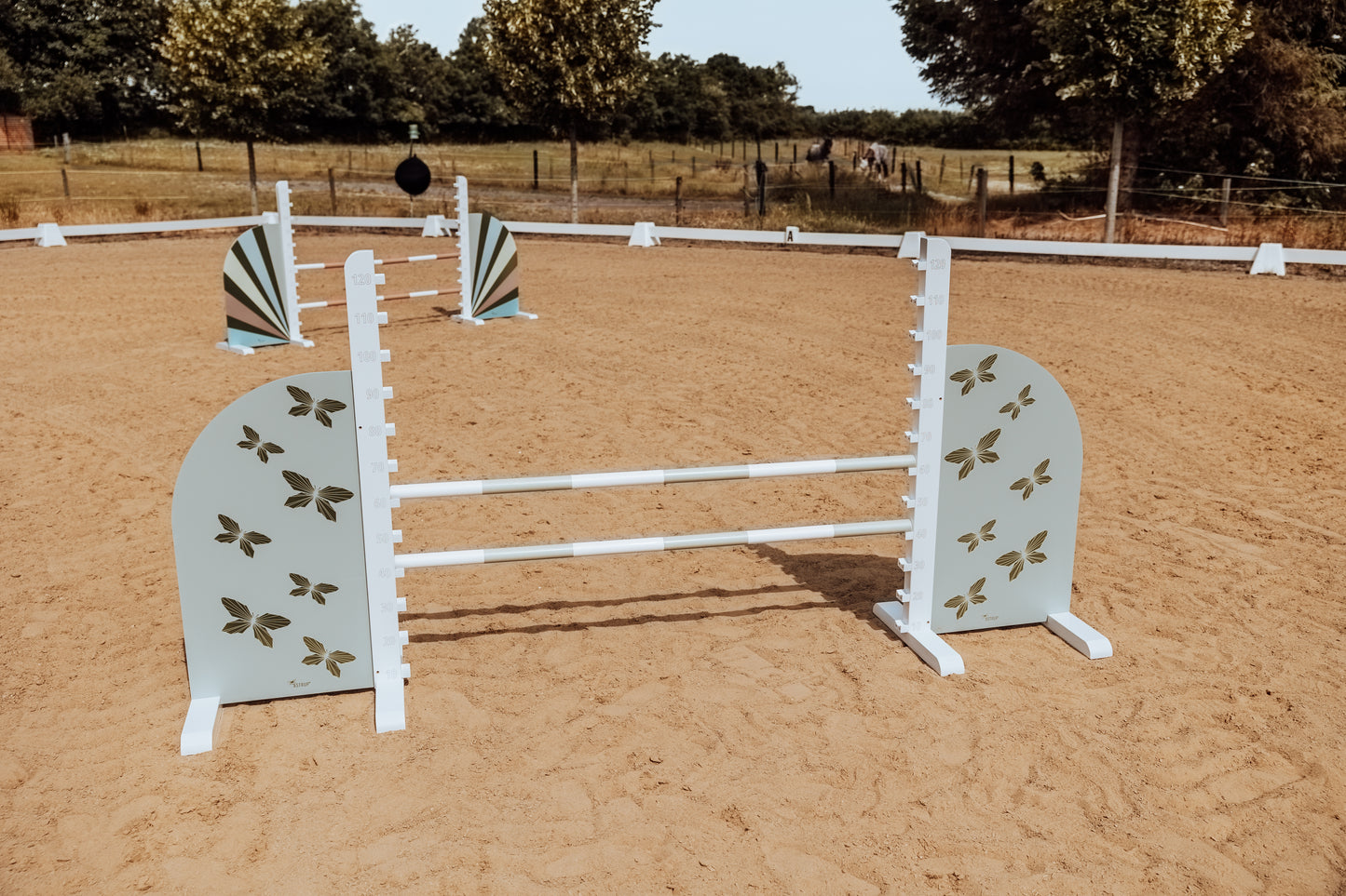 SPRUNGSEITEN JUMP WINGS, SCHMETTERLING