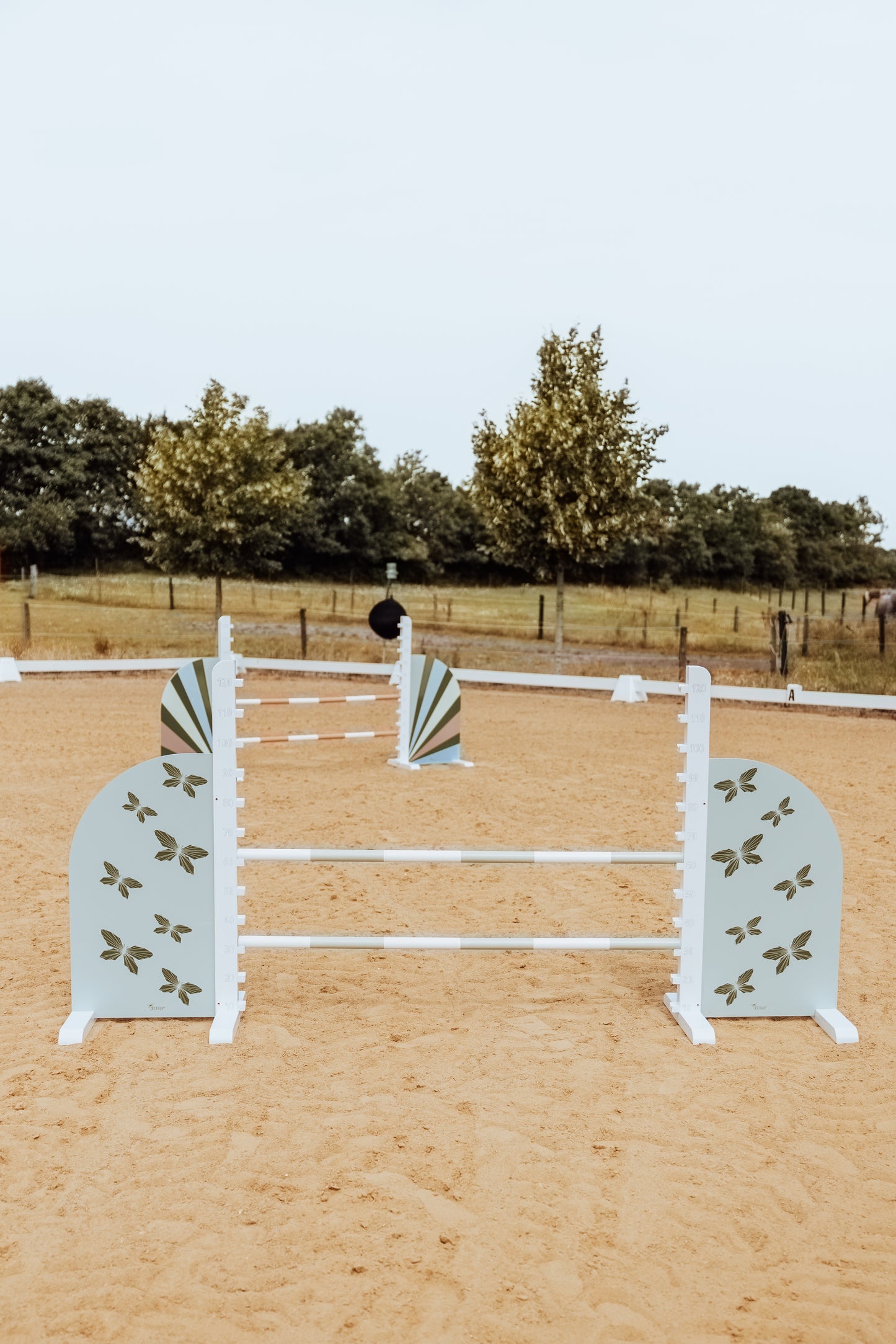 SPRUNGSTANGE IN MINTGRÜN, ROSA ODER BLAU