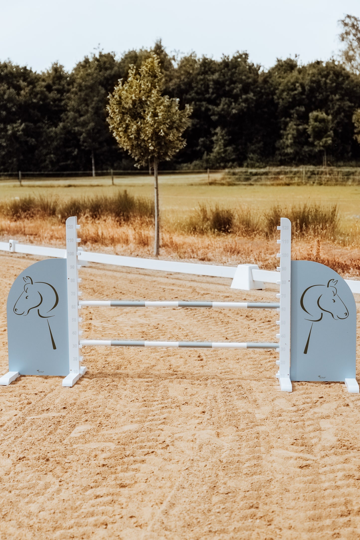 SPRUNGSEITEN JUMP WINGS, PFERD