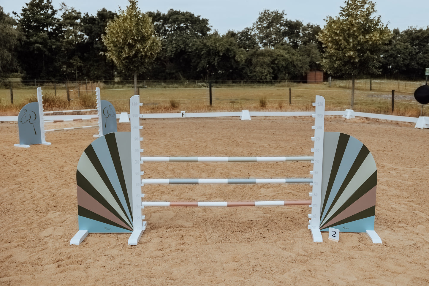 SPRUNGSTANGE IN MINTGRÜN, ROSA ODER BLAU