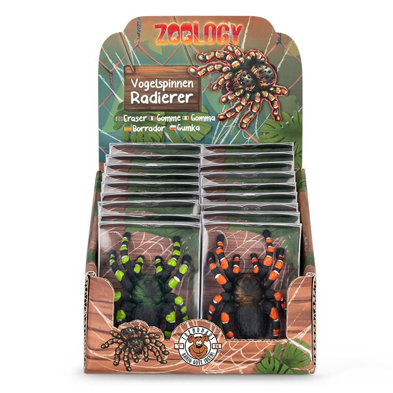 ZOO RADIERER VOGELSPINNE, 2-FACH SORTIERT