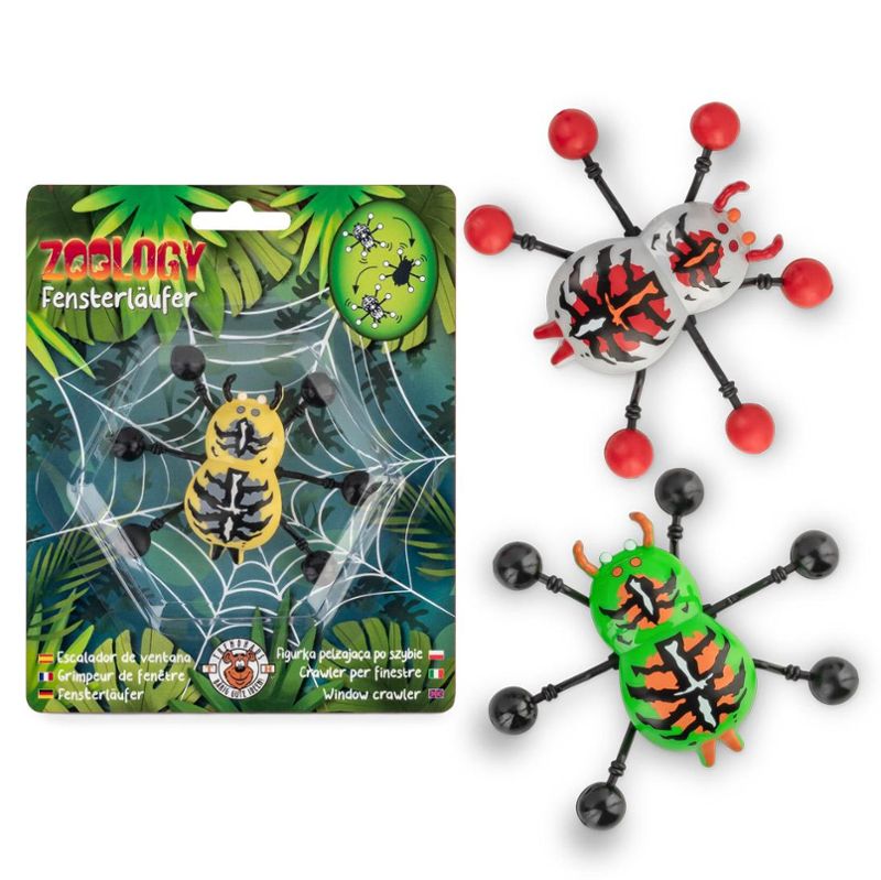 ZOO FENSTERLÄUFER SPINNE, 3-FACH SORTIERT