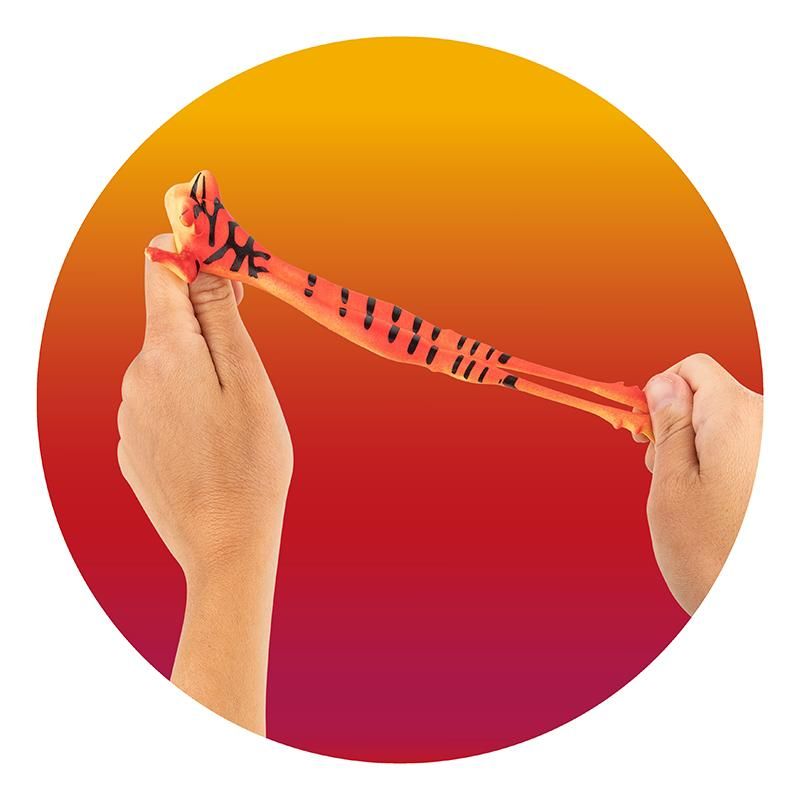 ZOO FINGERSCHLEUDER XXL FROSCH, 2-FACH SORTIERT