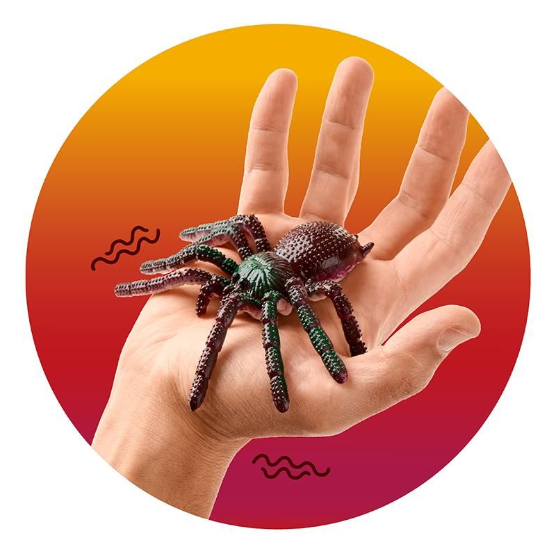 ZOO GRUSEL-SPINNE, 4-FACH SORTIERT